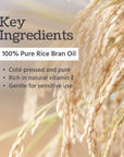100% Pure Natural Carrier Oil Rice Bran