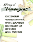 Well's Herb Dried Lemongrass | 0.6 oz.