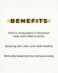 100% Pure Essential Oil 1oz Tea Tree