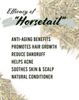 Well's Herb Dried Horsetail | 0.5 oz.