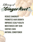 Well's Herb Dried Ginger Root | 1.9 oz.