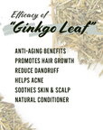 Well's Herb Dried Ginkgo | 0.9 oz.