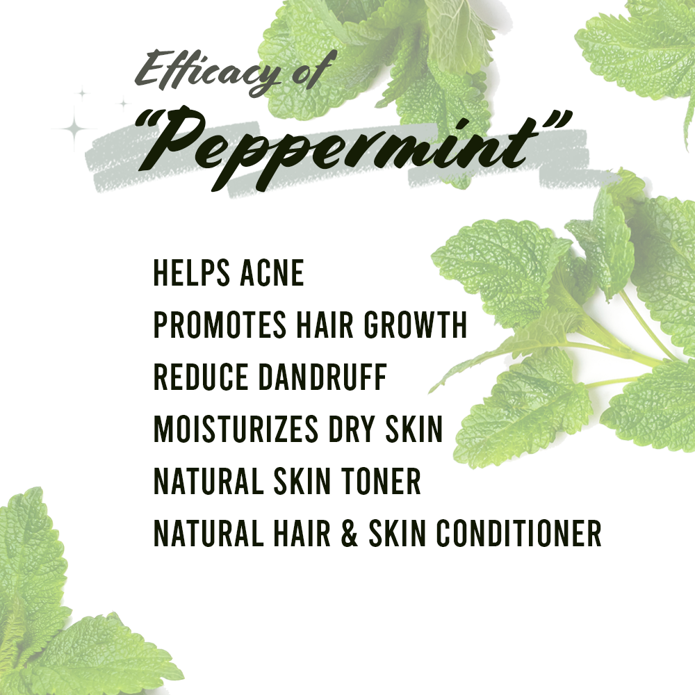 Well&#39;s Herb Dried Peppermint | 0.6 oz.