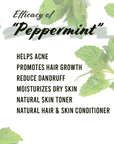 Well's Herb Dried Peppermint | 0.6 oz.