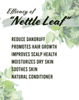 Well's Herb Dried Nettle Leaf | 0.5 oz.