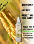 Rice Tea Tree Water Spray 8oz