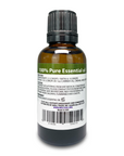 100% Pure Essential Oil 1oz Basil