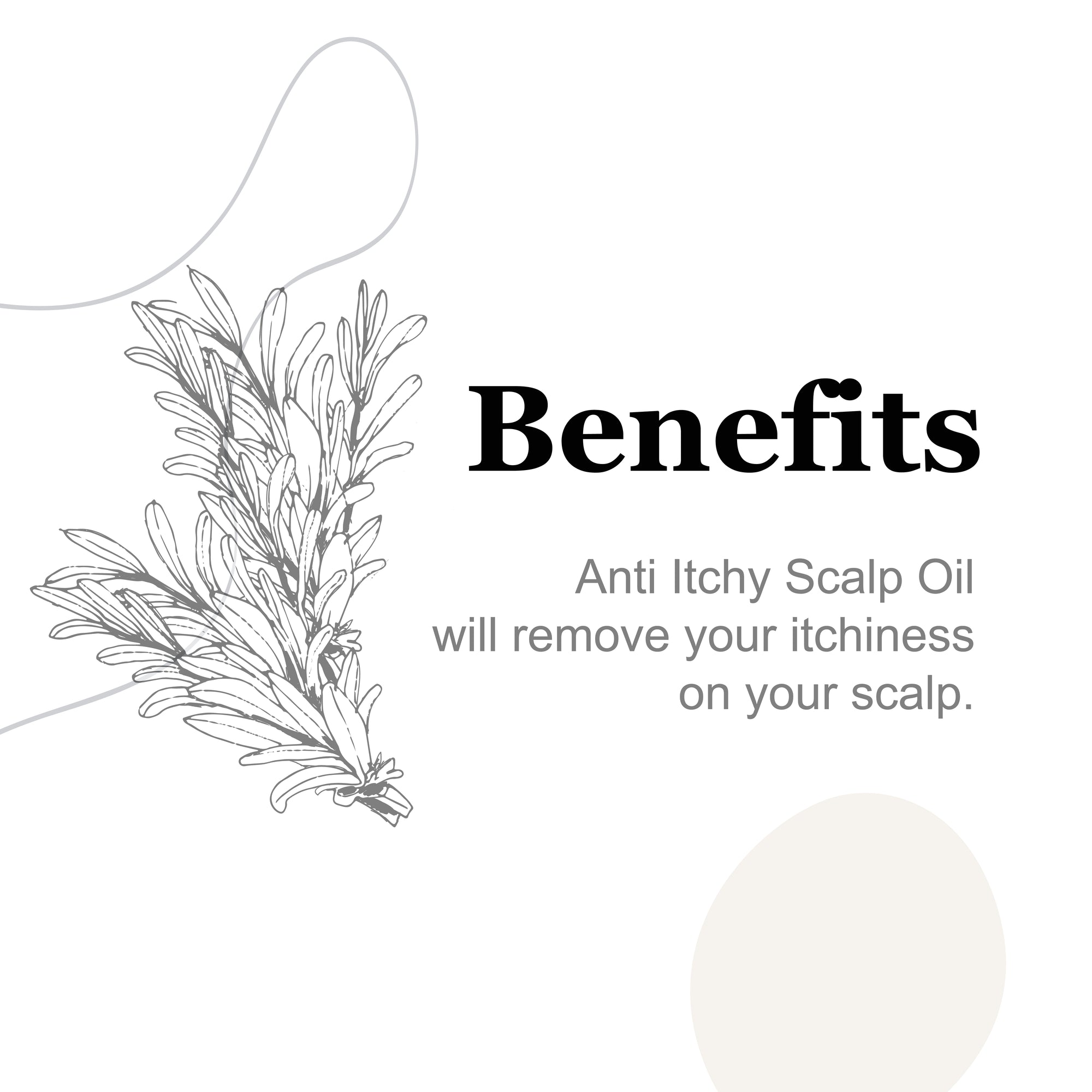 Anti Itchy Scalp Hair Oil 2oz