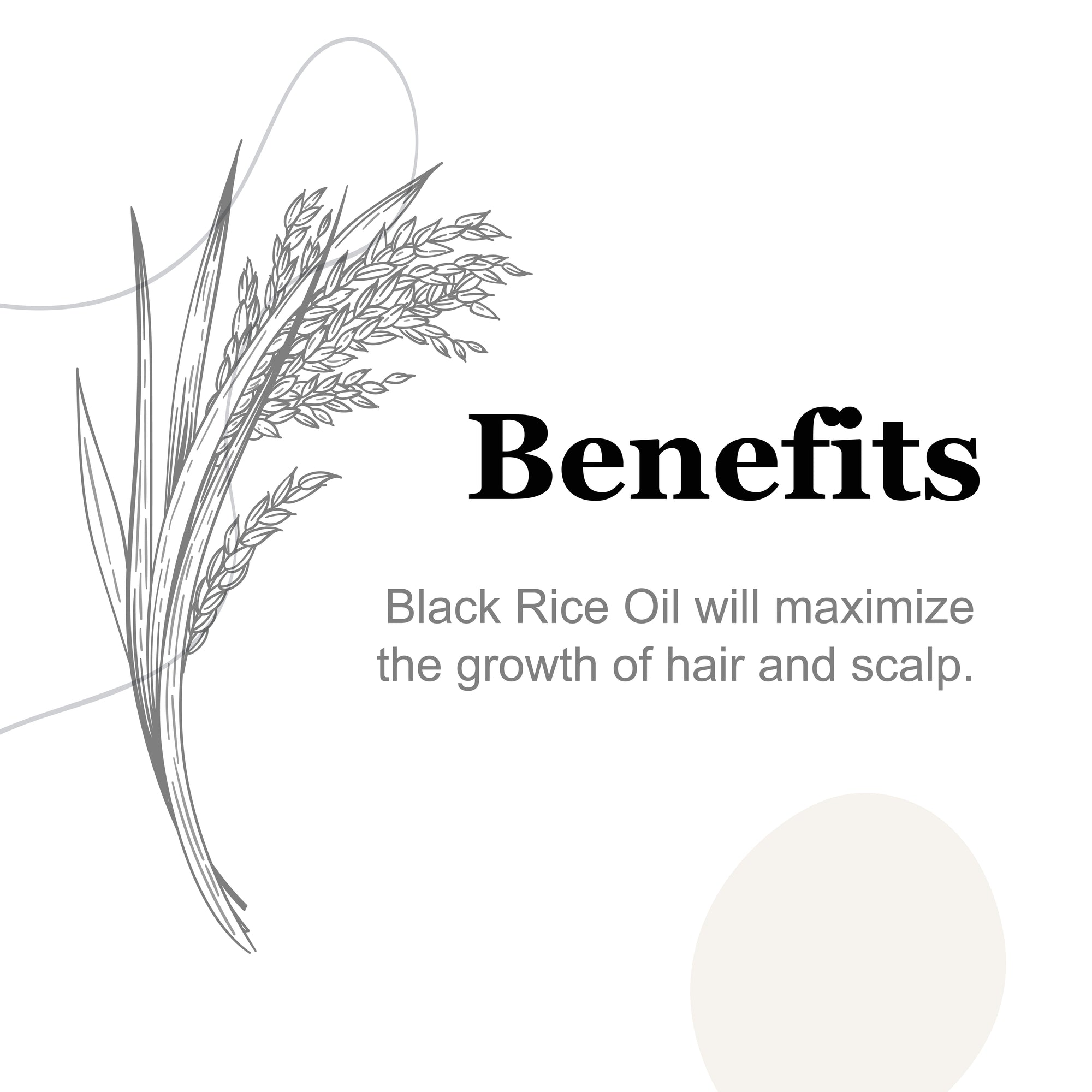 Black Rice Hair Oil 2oz