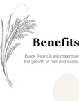 Black Rice Hair Oil 2oz