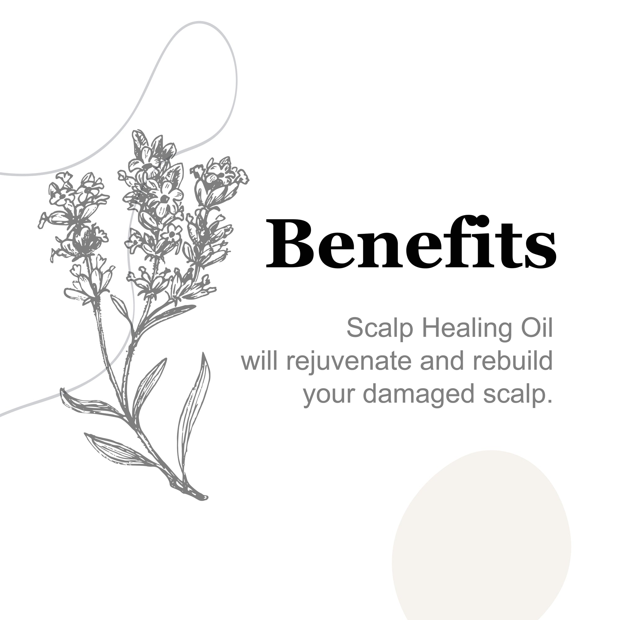 Scalp Healing Hair Oil 2oz