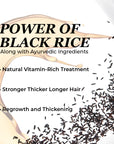 Black Rice Hair Oil 2oz